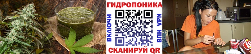 Cannafood марихуана  Венёв 