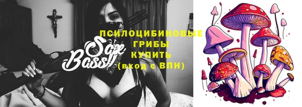 стаф Алзамай