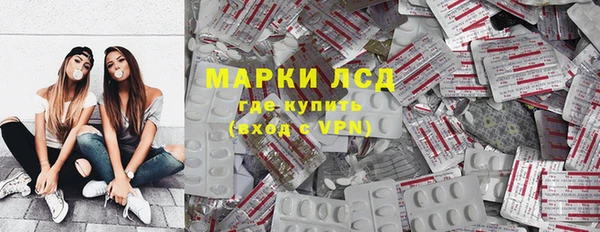 стаф Алзамай
