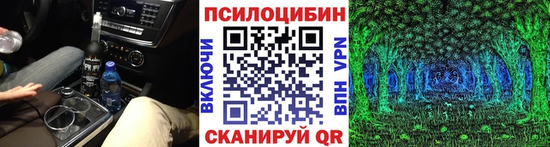 закладка  Венёв  Псилоцибиновые грибы Cubensis 